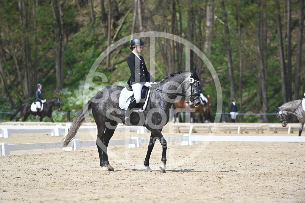 DSC_2200 | sattelsport - Realisiert mit Pictrs.com