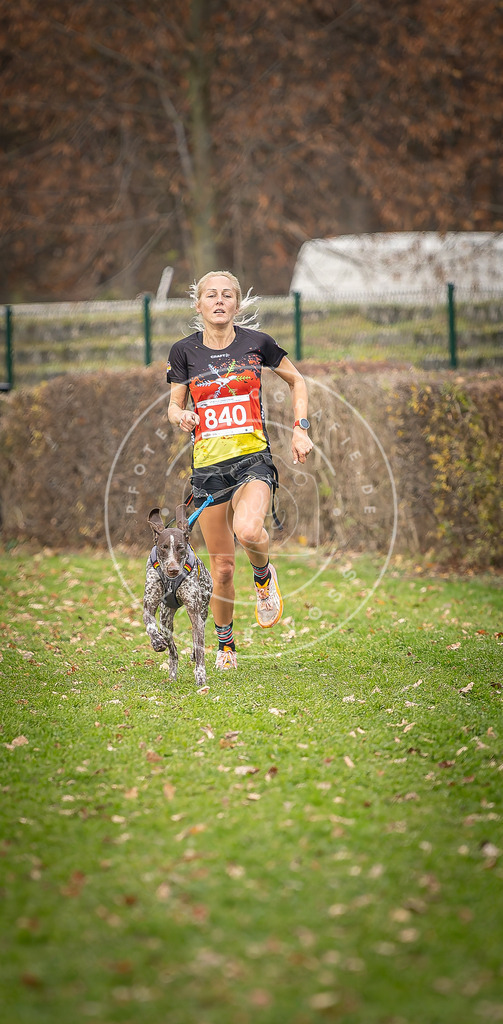 CaniXpix_DV3A6205 | Hundefotografie, Tierfotograf, Pfotenfotografie, Fotoshooting Hund, Hunde Portrait, Hundesport, Hundeportraits, Heideshooting, Hunde, Sportfotograf, Hundefotograf, Turnierhundsport, THS,  - Realisiert mit Pictrs.com
