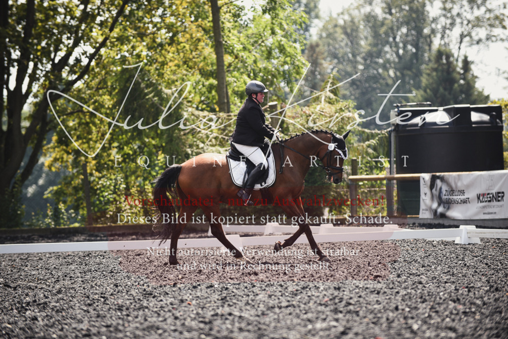 DSC_4164 | Pferde- und Turnierfotografie in Westsachsen. Pferdeportraits, Auftragszeichnungen und intuitive Kunst.