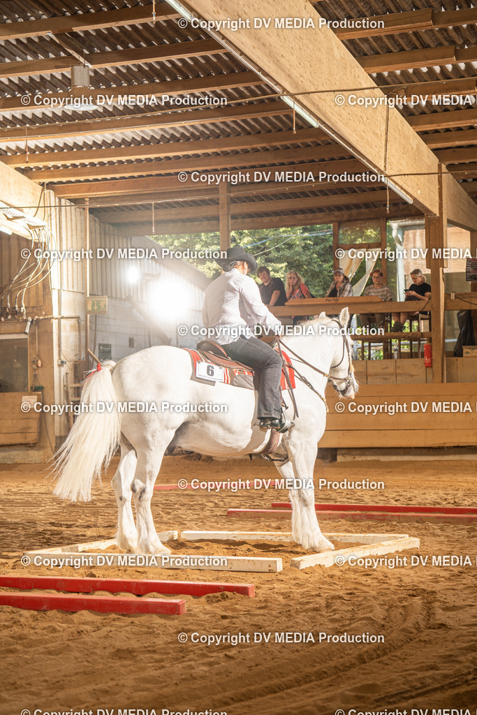 NID02773 | dv-media-shop - Realisiert mit Pictrs.com