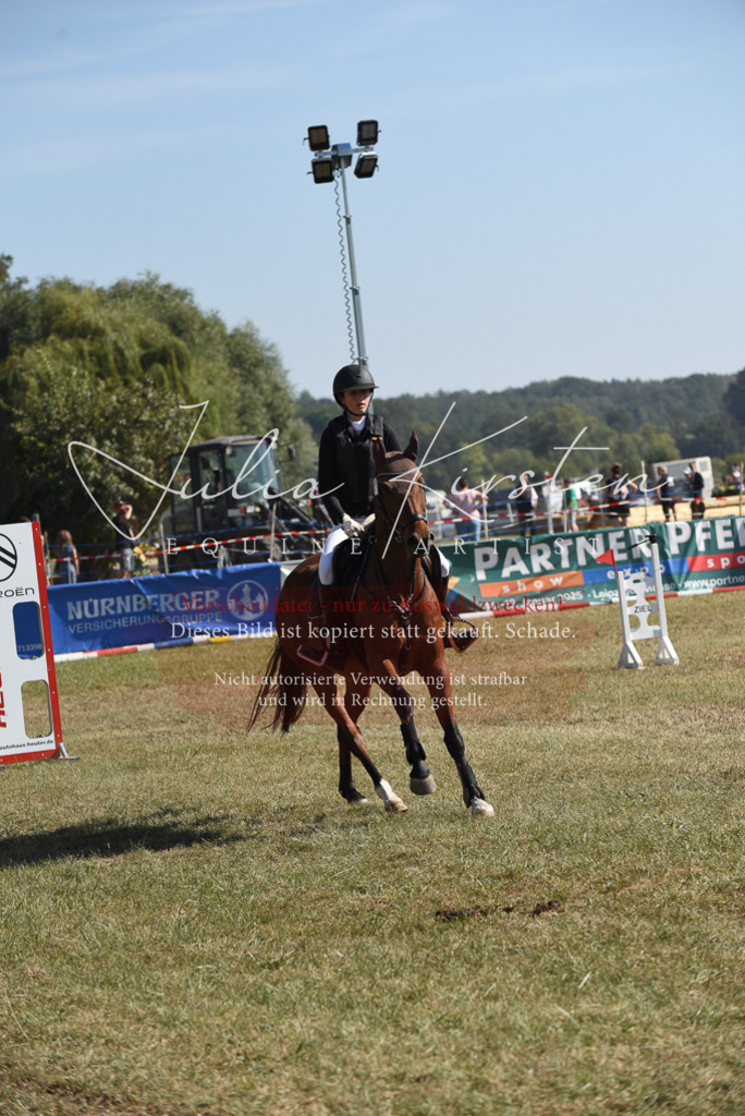 DSC_6124 | Pferde- und Turnierfotografie in Westsachsen. Pferdeportraits, Auftragszeichnungen und intuitive Kunst.