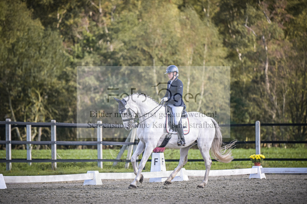 DOS_4565 | Entdecke hochwertige Reitturnierfotos von Foto Oger. Professionell, emotional und authentisch – jetzt Lieblingsmomente im Shop bestellen.Deutschlandweite Turnierfotografie. - Realisiert mit Pictrs.com