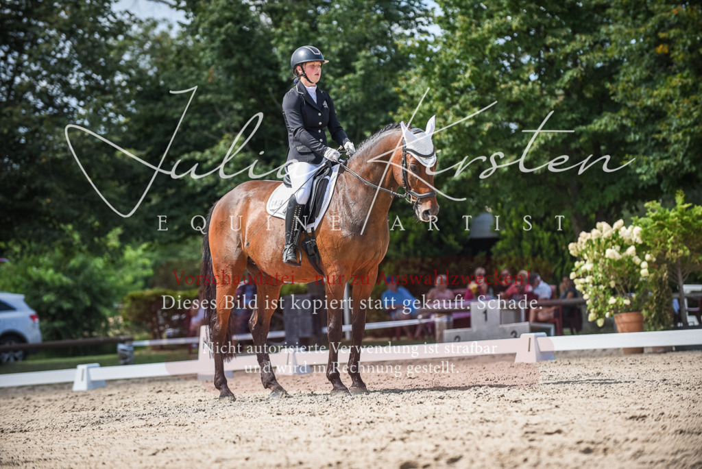 DSC_9313 | Pferde- und Turnierfotografie in Westsachsen. Pferdeportraits, Auftragszeichnungen und intuitive Kunst.