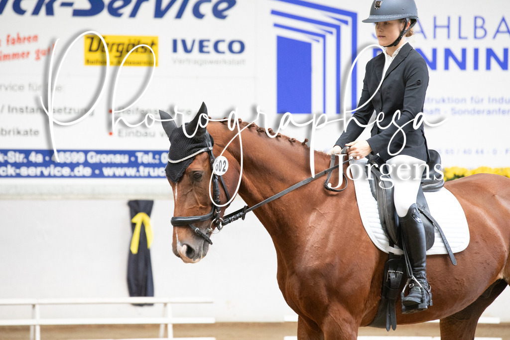 IMG_5896 | photographesa-joergens - Realisiert mit Pictrs.com