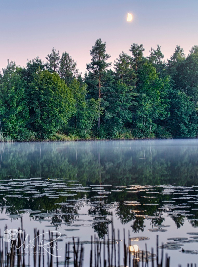 Waldsee | Entdecken Sie Fotografie aus Leidenschaft: Auftragsfotografie, HD-Fotos, Geschenkartikel aus Ihren Bildern und vieles mehr. Beauftragen Sie uns für besondere Momente!