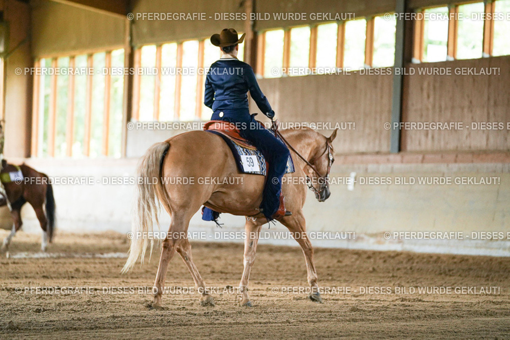 DSC05224 | Pferdegrafie