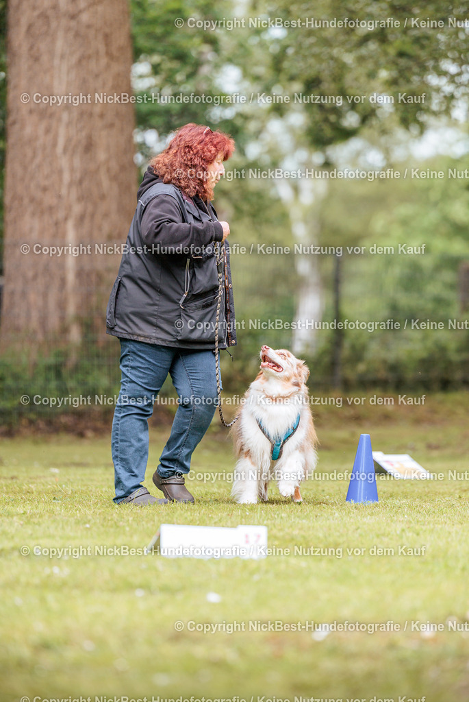 RO-Blumenthal-2026-Nickbest-Hundefotografie-3185 | Dein Hund! Dein Moment! Deine Erinnerungen! Hundefotografie in Bremen Blumenthal. Ich fange die besonderen Momente deines Vierbeiners ein – ob Indoor mit Blitzanlage oder in der freien Natur. Sicher dir dein Moment und dein Termin für eure Erinnerungen.