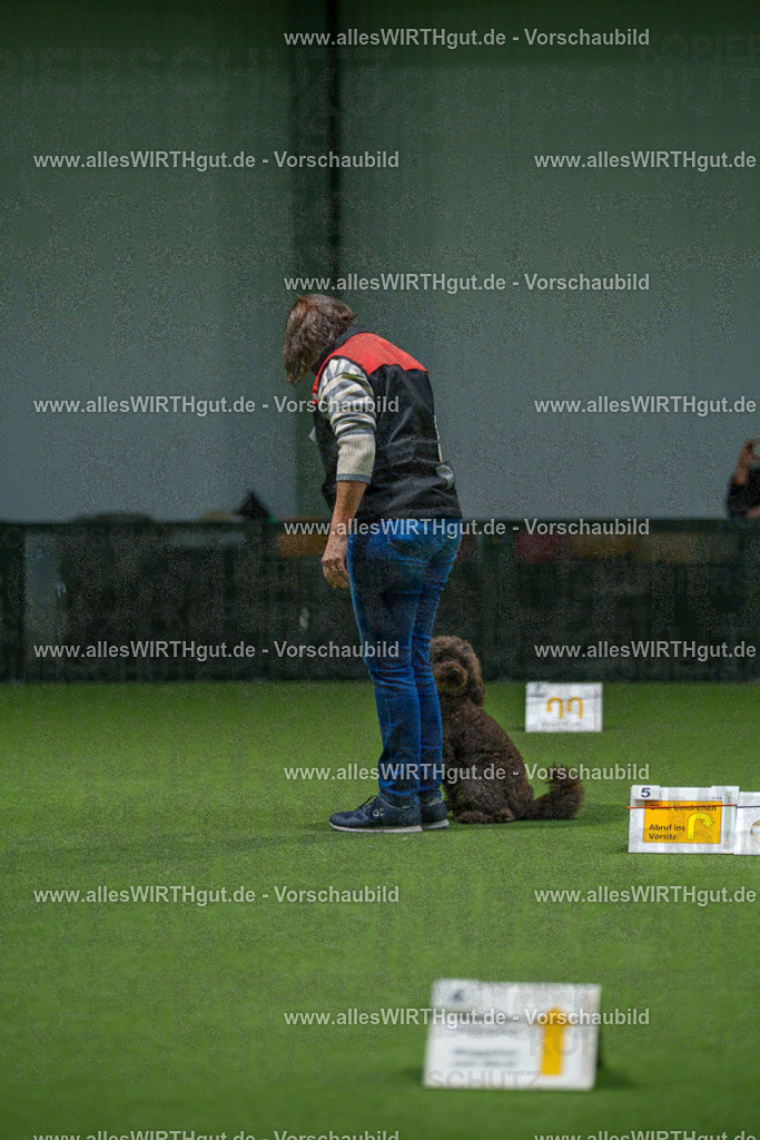 7R508351 | Professionelle Tierfotografie in Mönchengladbach von Daniel Wirth (allesWIRTHgut). Liebevolle & natürliche Bilder von Hunden & Katzen für unvergessliche Erinnerungen.