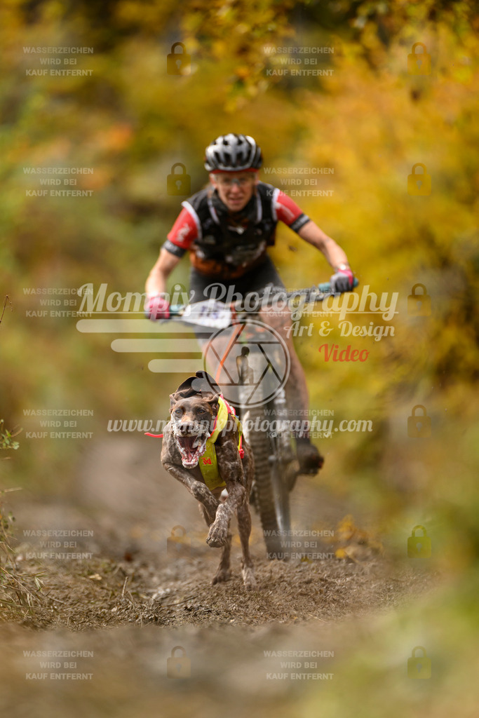 MompixPhotography_ICF_WC_2024_SA_Bike_-86 | PayLife