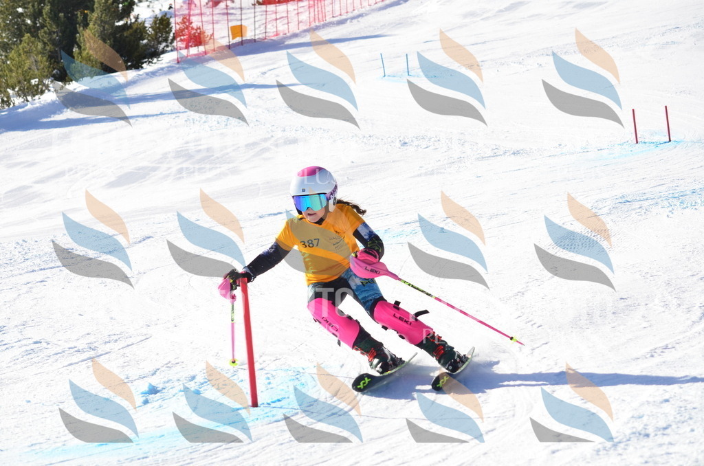 C6108 | holidayphoto