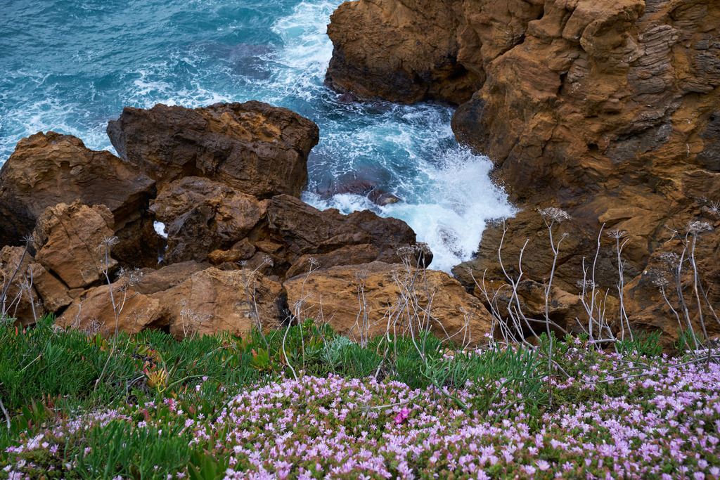 Blick vom Wanderweg auf die Felsen und das Meer | Begur, Spanien - May 07, 2024: Platja de Sa Riera; Blick vom Wanderweg auf die Felsen und das Meer. - Realisiert mit Pictrs.com