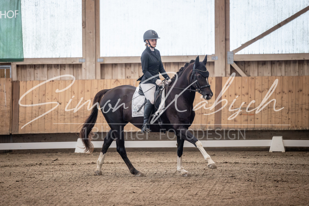 20251011-_3LI9284 | Tierfotografie Pferde, Hunde, Katzen, Haustiere.
Turnierfotografie Reitturniere, Reiten, Springreiten, Dressur in Hanau, dem Main-Kinzig-Kreis und dem Rhein-Main- Gebiet um Frankfurt