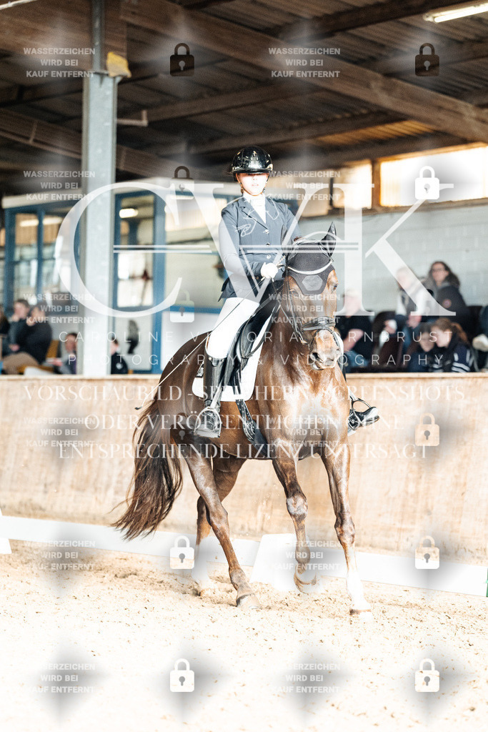 CK902745 | Turnierfotografie Pferdefotografie Trier Rheinland-Pfalz Pferdesport Reitsport Tierfotografie Sportfotografie Pferdevideo Pferdevideografie Equestrianvideography equestrianphotography  - Realisiert mit Pictrs.com