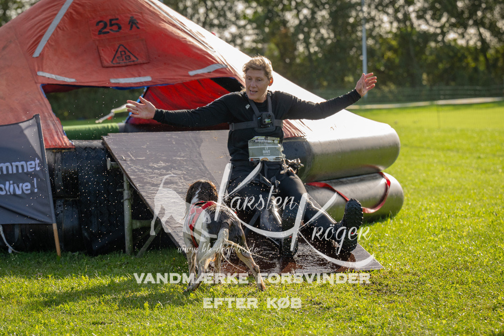 1118-92018 | kk-dogfotos