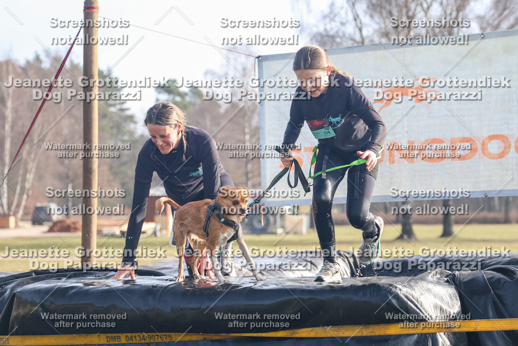 Dog Paparazzi - Strongdog North Mrz26-364 | Dog Paparazzi Jeanette Grottendiek Fotografie & Videografie - Realisiert mit Pictrs.com