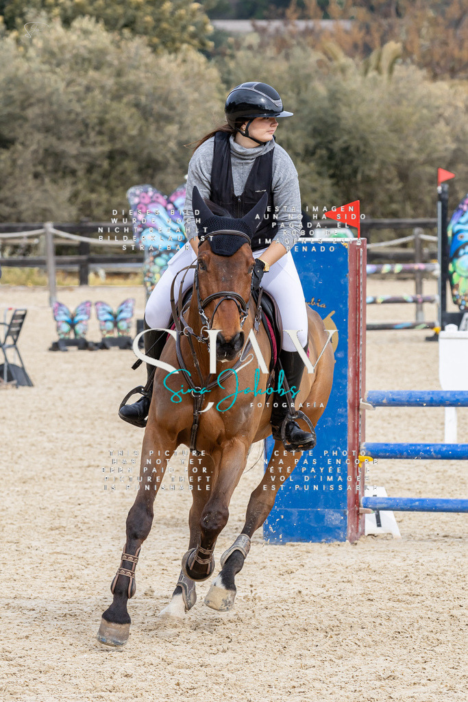 IMG_3850 | s-jay-photography - Realisiert mit Pictrs.com