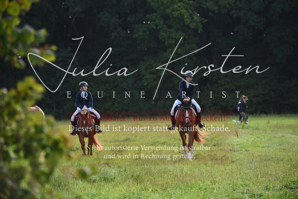 DSC_8537 | Pferde- und Turnierfotografie in Westsachsen. Pferdeportraits, Auftragszeichnungen und intuitive Kunst.