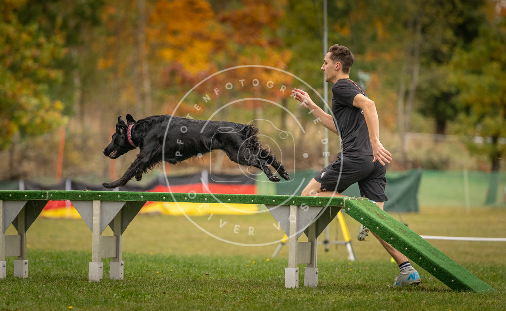 Pfotenfotografie_DV3A7687 | Hundefotografie, Tierfotograf, Pfotenfotografie, Fotoshooting Hund, Hunde Portrait, Hundesport, Hundeportraits, Heideshooting, Hunde, Sportfotograf, Hundefotograf, Turnierhundsport, THS,  - Realisiert mit Pictrs.com