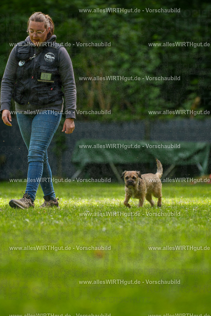 @allesWIRTHgut_Tierfotografie - www.allesWIRTHgut.de - 7R501990 | Professionelle Tierfotografie in Mönchengladbach von Daniel Wirth (allesWIRTHgut). Liebevolle & natürliche Bilder von Hunden & Katzen für unvergessliche Erinnerungen.
