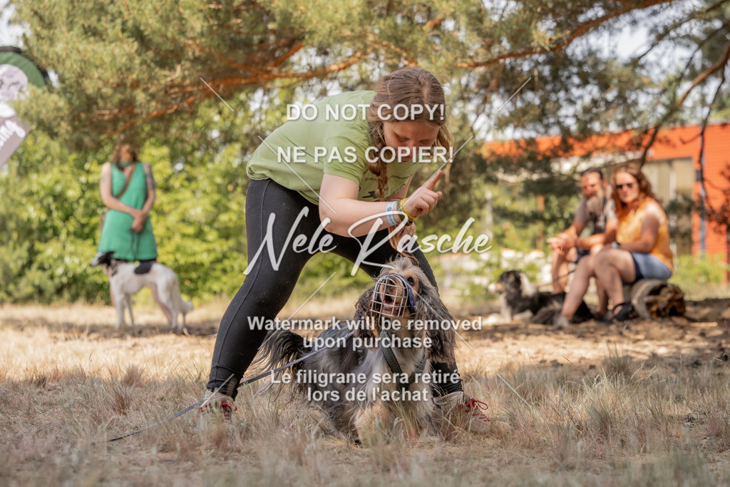nelerasche_soDD2_362 | nelerasche