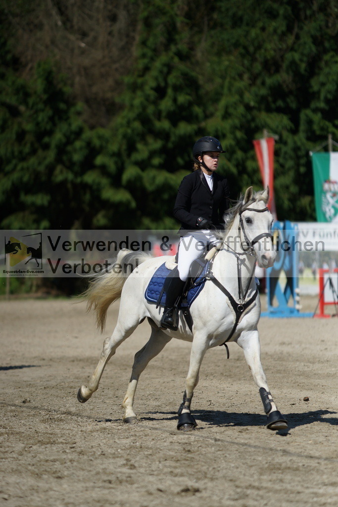 DSC06135 | equestrian-live-com