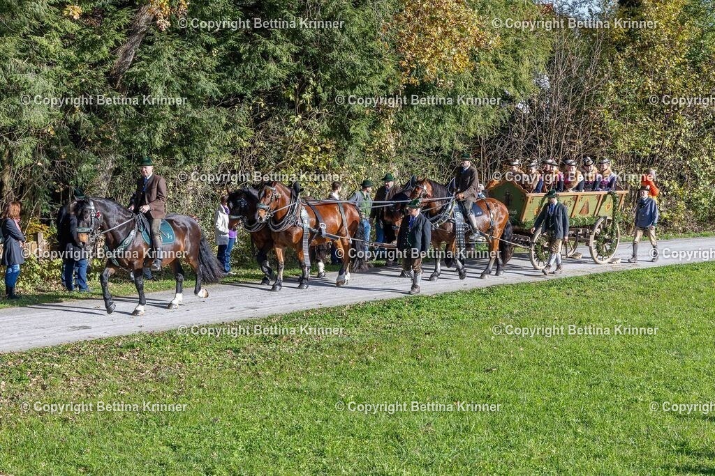 LBT24-745 | foto-bettina-krinner - Realisiert mit Pictrs.com