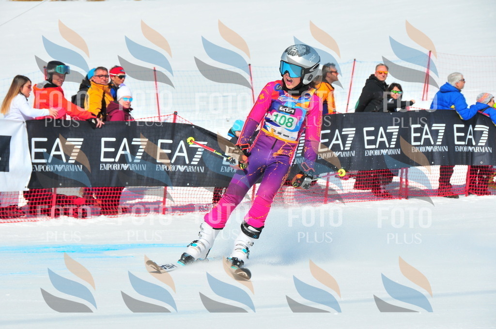 DSC_0802 | holidayphoto