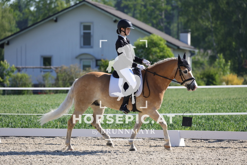 0P6A7626 | Willkommen bei Brunnmayr - Design & Fotografie – Ihrem Spezialisten für Reitturniere und Pferdeveranstaltungen in Oberösterreich, Salzburg und Bayern! Seit über 17 Jahren sind wir leidenschaftlich dabei.
