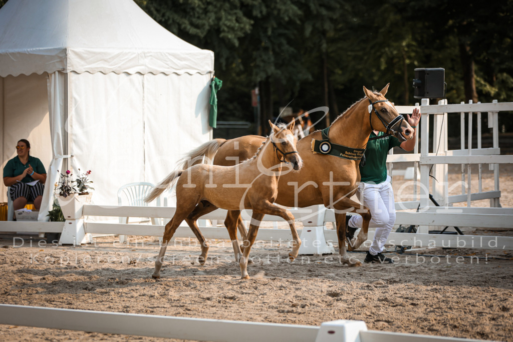 11.DoRP00205 | Leoni Ertmer Photography - Realisiert mit Pictrs.com