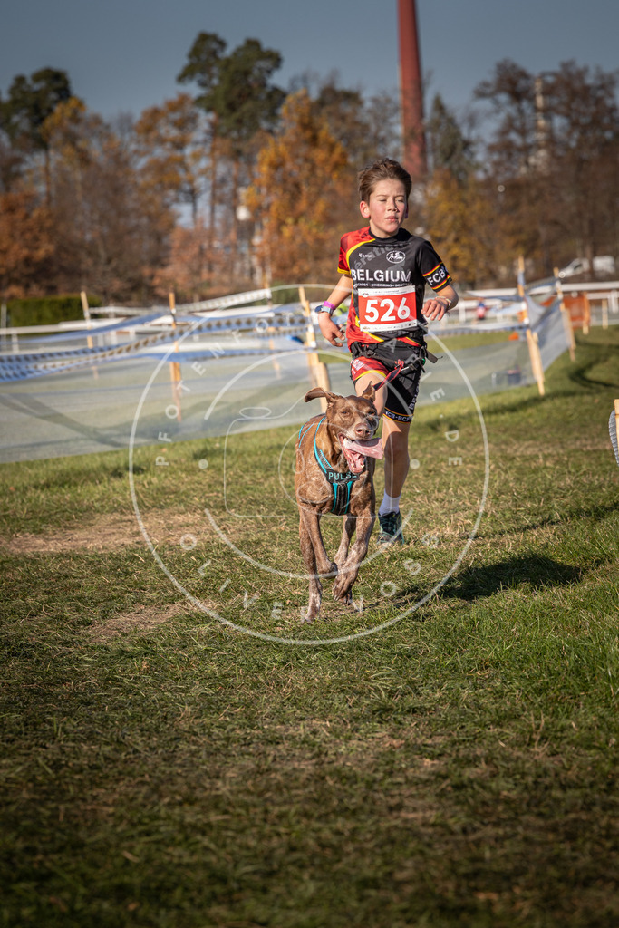 CaniXpix_0L8A7277 | Hundefotografie, Tierfotograf, Pfotenfotografie, Fotoshooting Hund, Hunde Portrait, Hundesport, Hundeportraits, Heideshooting, Hunde, Sportfotograf, Hundefotograf, Turnierhundsport, THS,  - Realisiert mit Pictrs.com