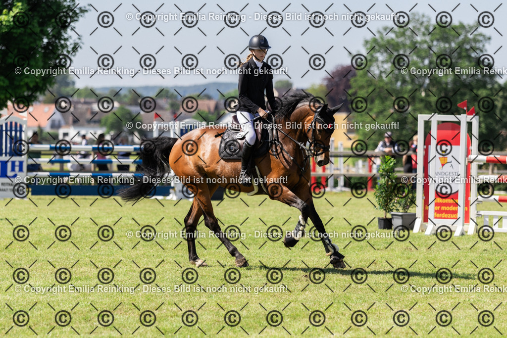 CL5A9528 | Emilia Reinking Fotografie - Realisiert mit Pictrs.com