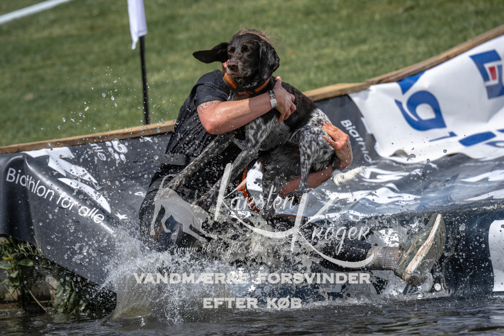 1155_ZZ94304 | kk-dogfotos