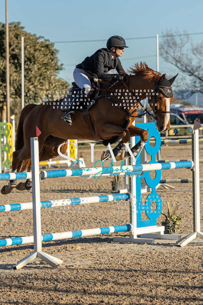 IMG_2522 | s-jay-photography - Realisiert mit Pictrs.com