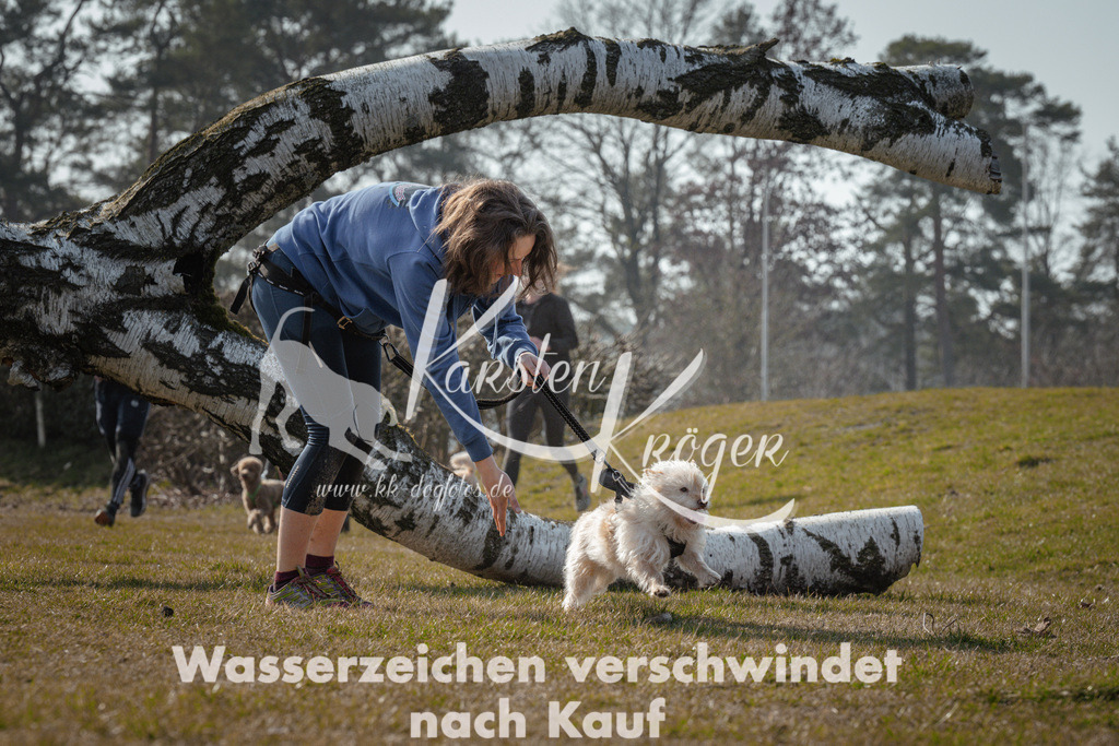 1109_ZZ94896 | kk-dogfotos