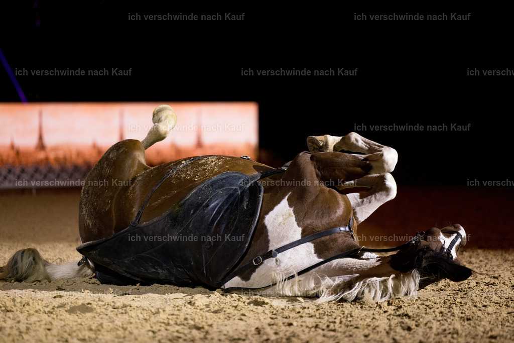 Gala-44 | working equitationturnier fotograf videograf stoibphotography marixx film working equitation deutschland reitsport turnierfotografie eventfotografie equestrian events