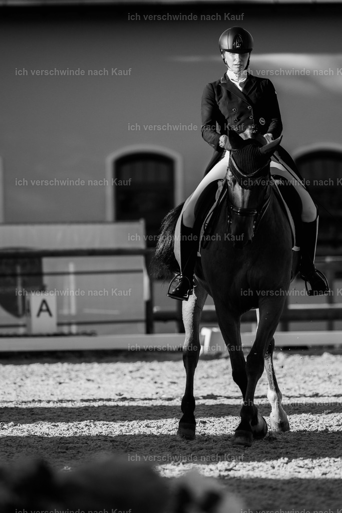 FHC2026_P09_12_19254 | Fichtenhof Classics 2026 – Grand Prix de Dressage - VOLTAIRE Design Preis, Reitanlage Fichtenhof, Sch ftlarn