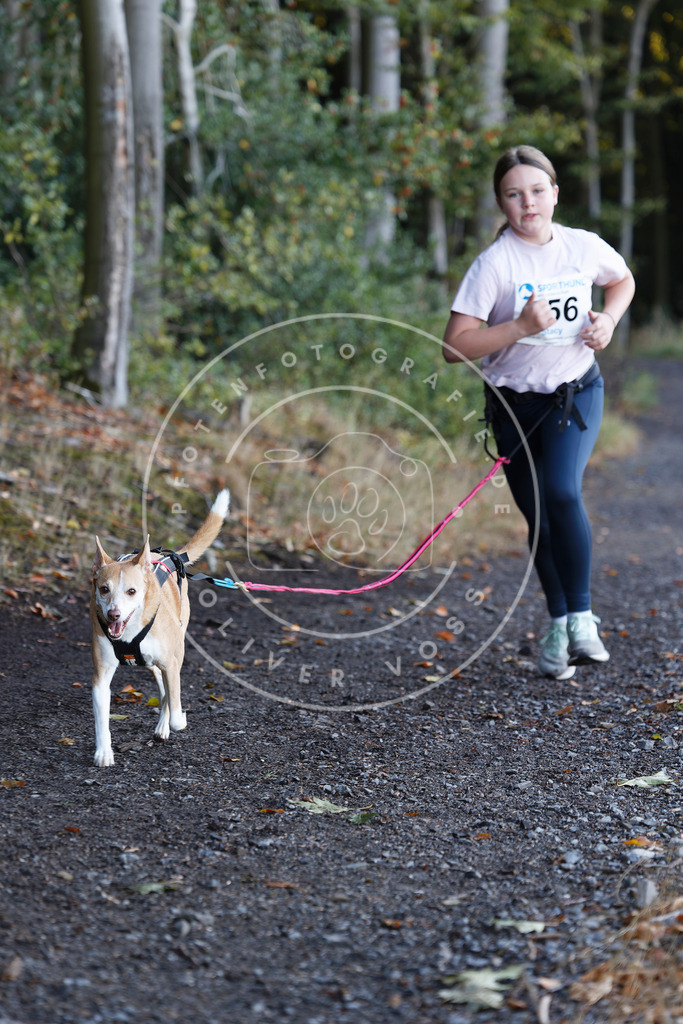 0L8A2203 | Hundefotografie, Tierfotograf, Pfotenfotografie, Fotoshooting Hund, Hunde Portrait, Hundesport, Hundeportraits, Heideshooting, Hunde, Sportfotograf, Hundefotograf, Turnierhundsport, THS,  - Realisiert mit Pictrs.com