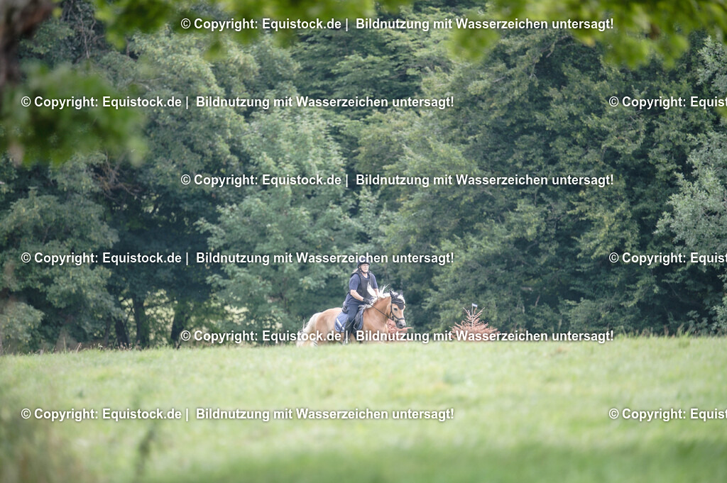 20250726_Vielseitigkeitslehrgang-Marbach_0606 | Foto: Thomas Hartig