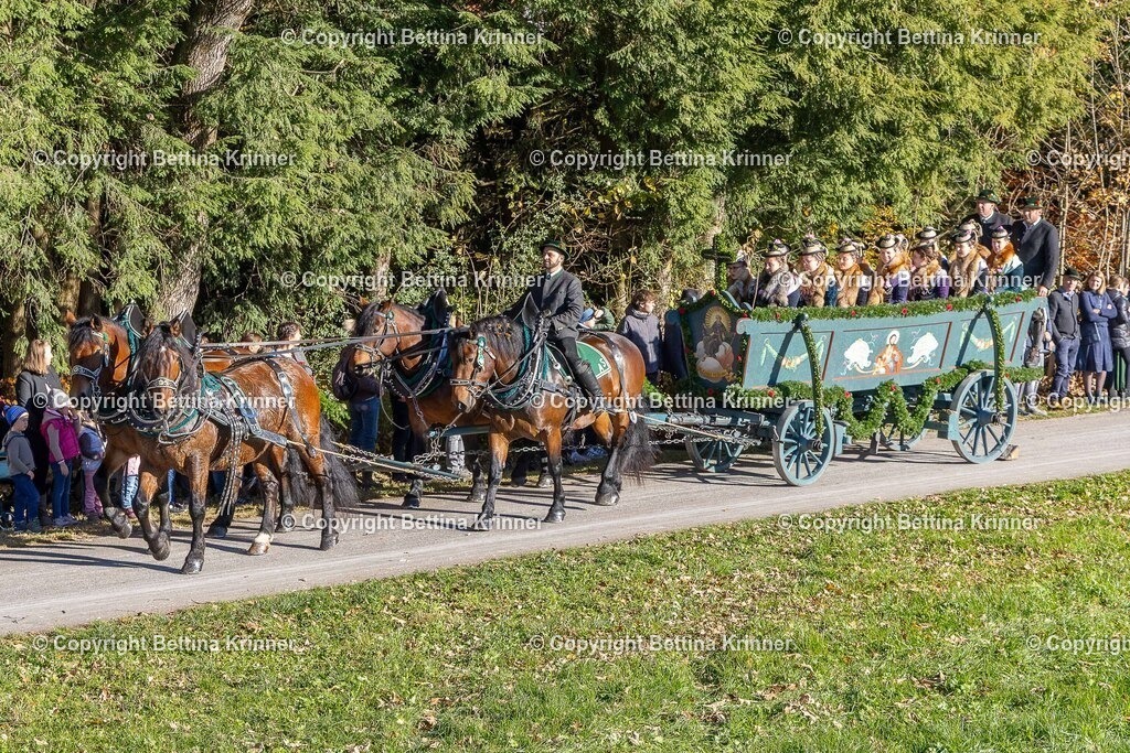 LBT25-271 | foto-bettina-krinner - Realisiert mit Pictrs.com