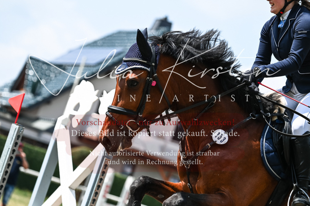 DSC_9342 | Pferde- und Turnierfotografie in Westsachsen. Pferdeportraits, Auftragszeichnungen und intuitive Kunst.