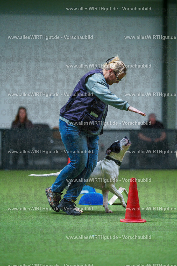 7R502994 | Professionelle Tierfotografie in Mönchengladbach von Daniel Wirth (allesWIRTHgut). Liebevolle & natürliche Bilder von Hunden & Katzen für unvergessliche Erinnerungen.