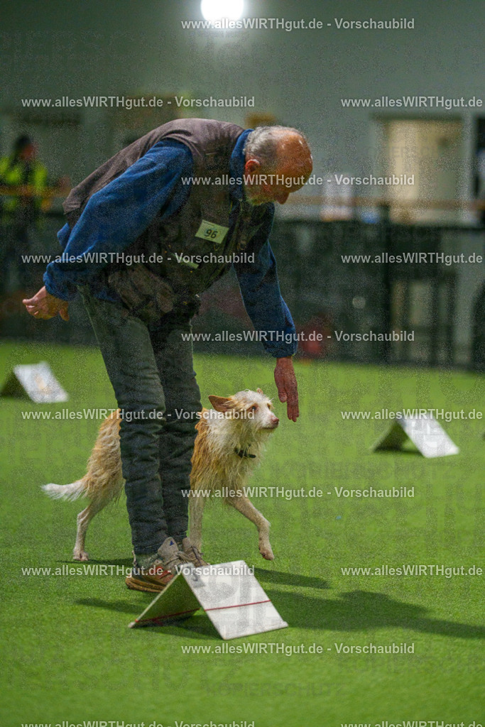 7R509038 | Professionelle Tierfotografie in Mönchengladbach von Daniel Wirth (allesWIRTHgut). Liebevolle & natürliche Bilder von Hunden & Katzen für unvergessliche Erinnerungen.
