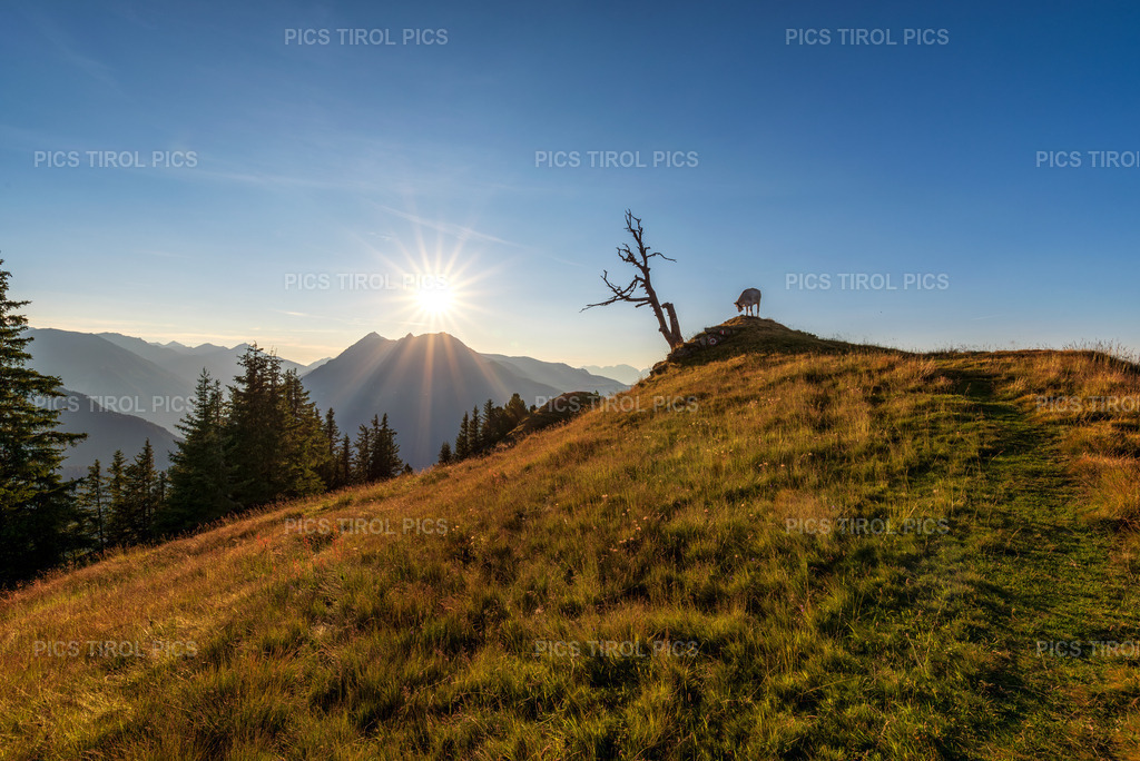 DSC_9249-Verbessert-RR-Bearbeitet | Tirolpics