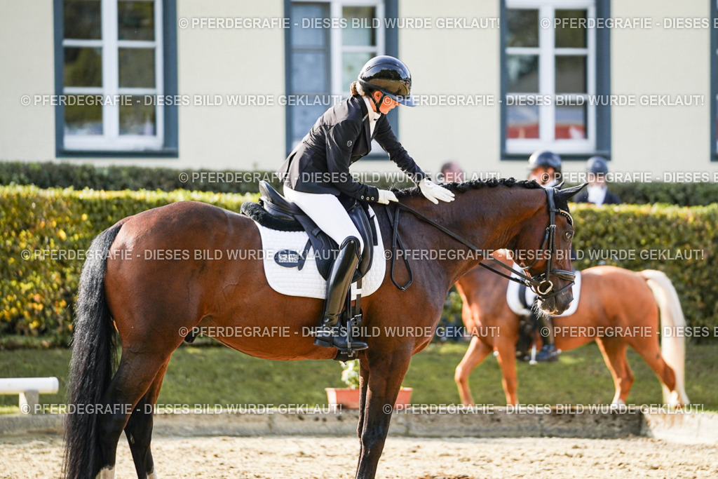 DSC05175 | Pferdegrafie