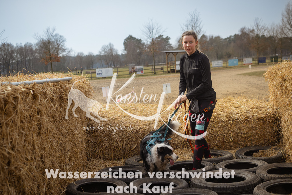 1128_ZZ93787 | kk-dogfotos