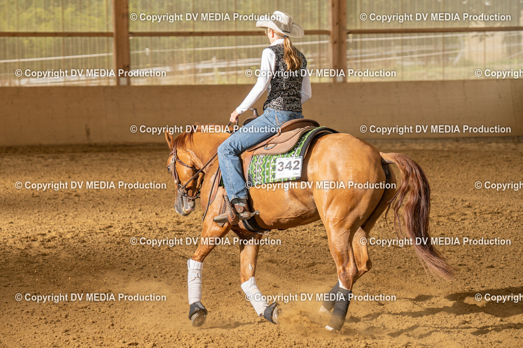 LAU01689 | dv-media-shop - Realisiert mit Pictrs.com