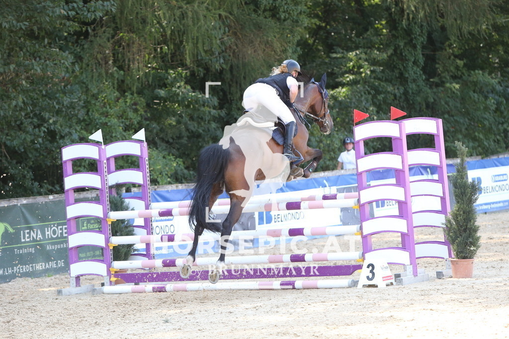 DL2Q1446 | Willkommen bei Brunnmayr - Design & Fotografie – Ihrem Spezialisten für Reitturniere und Pferdeveranstaltungen in Oberösterreich, Salzburg und Bayern! Seit über 17 Jahren sind wir leidenschaftlich dabei.