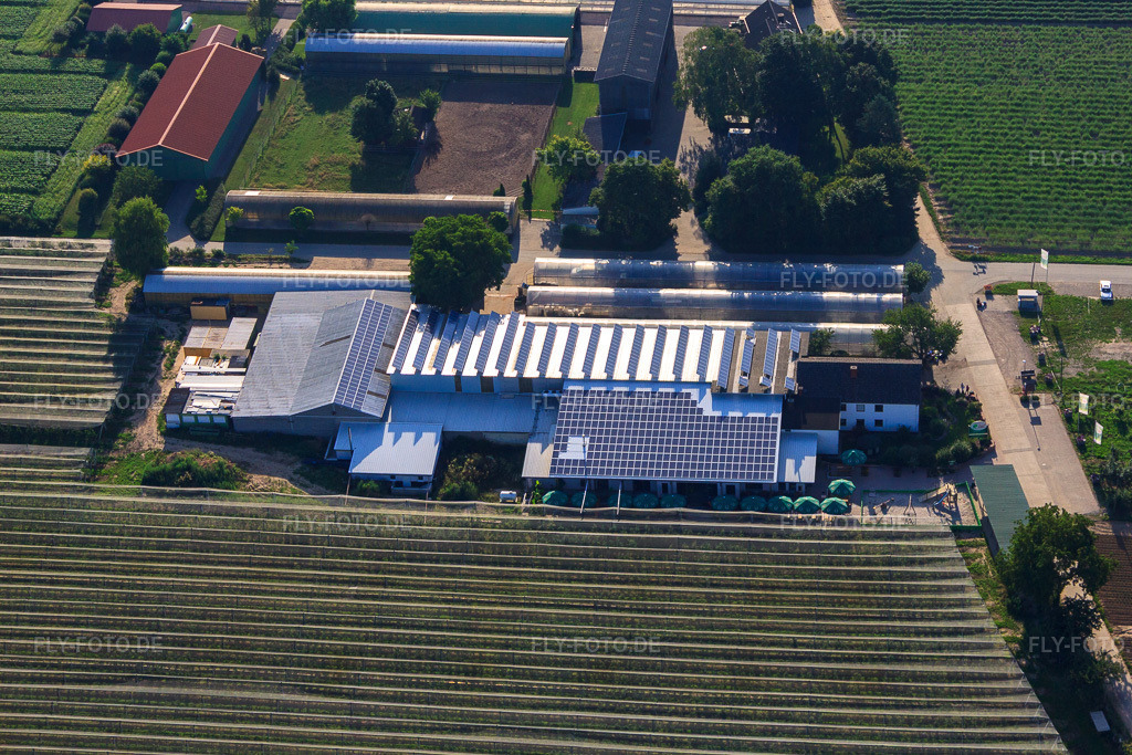 Luftbild: Obsthof Zapf und Hofcafé und Uwe Nauerth - Tabak Produktion im Holderbühler Hof und in Kandel im Bundesland Rheinland-Pfalz in Deutschland. Foto: IMG_70327.jpg vom 19.07.2014 durch Werner Riehm/FLY-FOTO.deHofmarkt Zapf Kandel