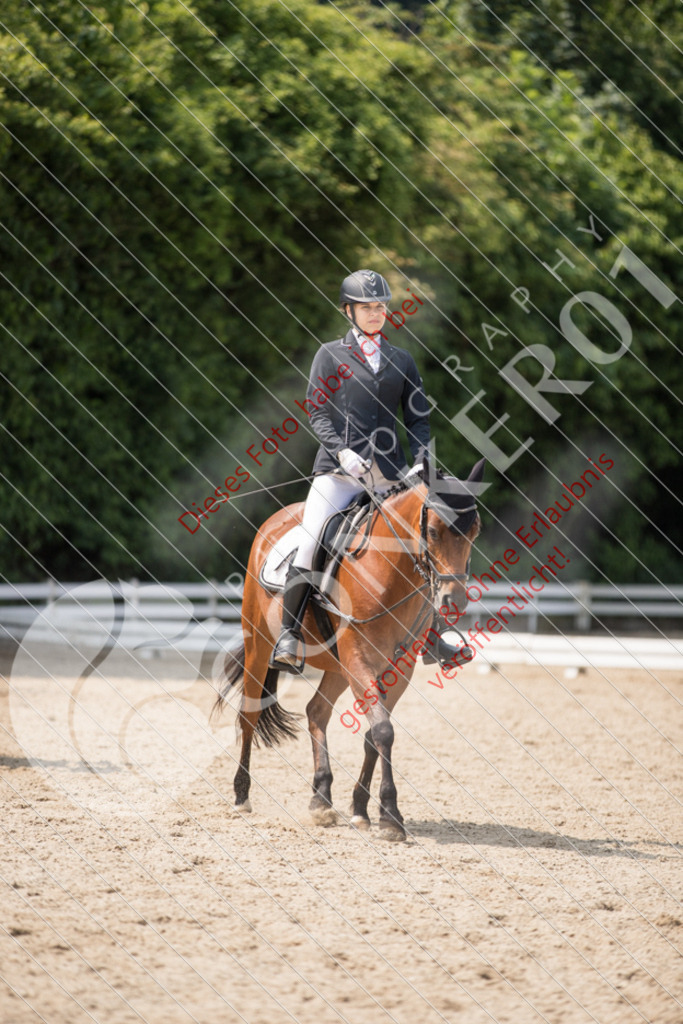 IMG_3459 | Sport-, Event- und Tierfotos in Profiqualität. Einfach auswählen, bestellen und herunterladen. Dein Moment – perfekt festgehalten.