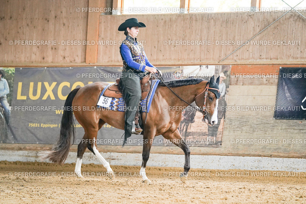 DSC05612 | Pferdegrafie